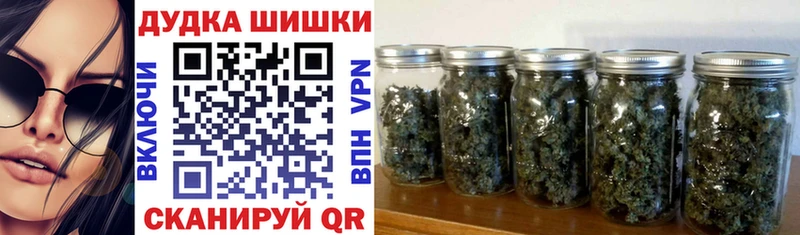 Канабис семена MEGA зеркало Сурск сколько стоит